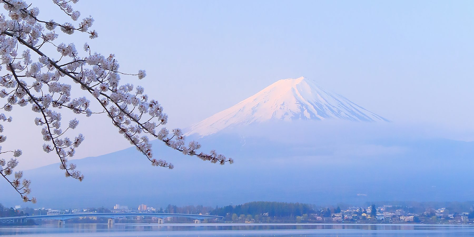 AOVA magazine 第７号