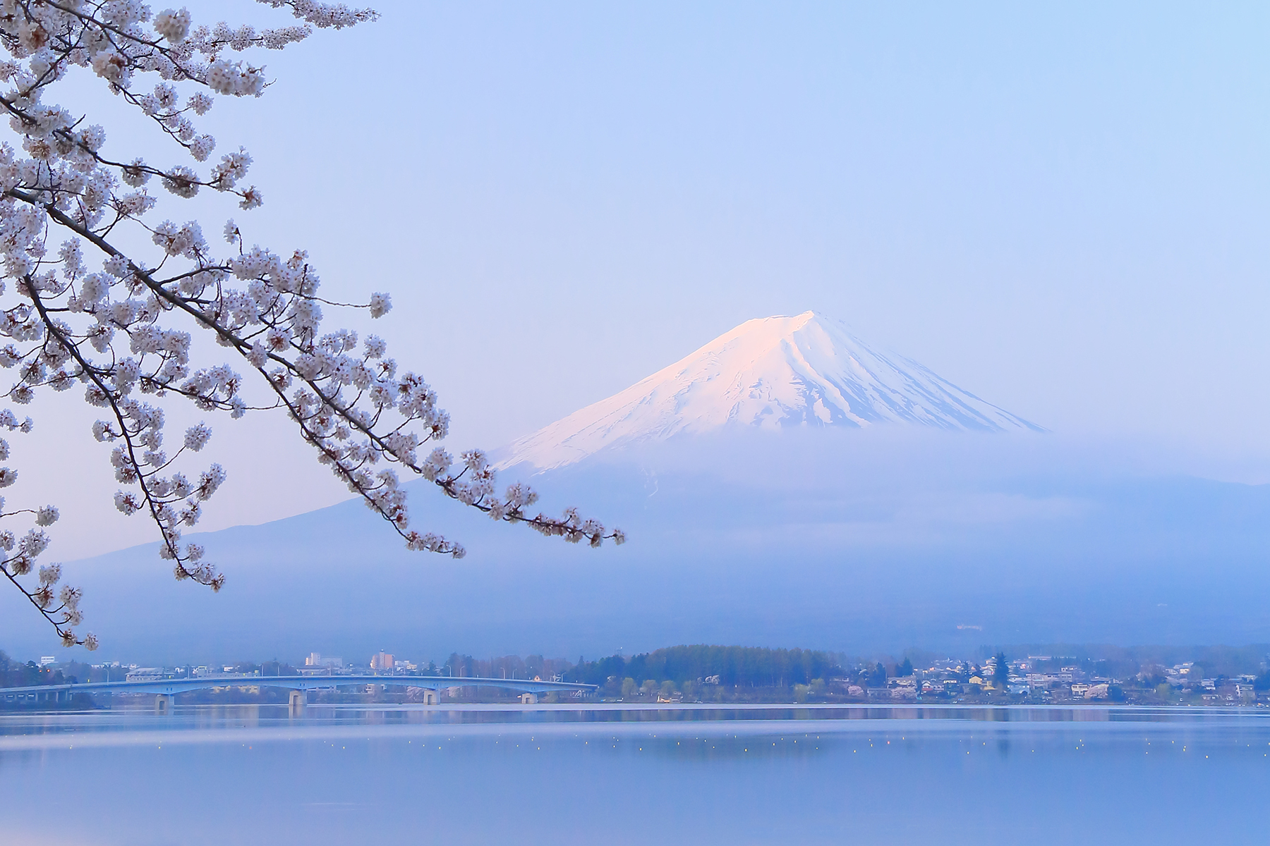 AOVA magazine 第７号