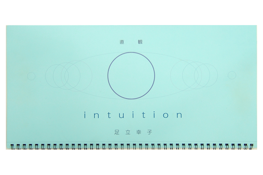 Intuition（イントゥイション）の製品写真
